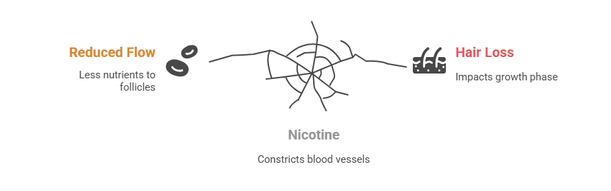 Does Nicotine Play a Role in Hair Follicle Damage