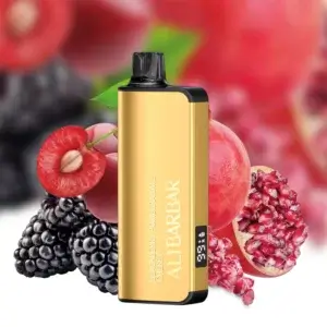 ALIBARBAR INGOT 9000 PUFFS – Blackberry Pomegranate Cherry Vape