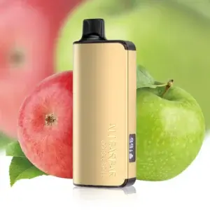 ALIBARBAR INGOT 9000 PUFFS – Double Apple Vape